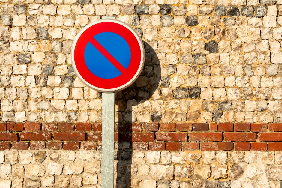 A round no-parking traffic sign with a red border, blue background, and red diagonal line is mounted on a metal pole, positioned in front of a textured stone wall. The wall features a horizontal band 